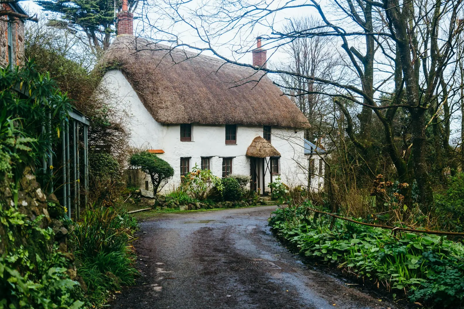 A white thatched cottage beside a quiet lane
